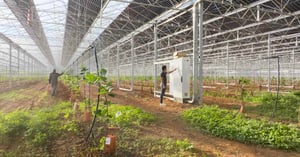 Visite de Richel Group _ Eygalières